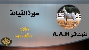 سورة القيامة - كاملة | القارئ حافظ امين | تلاوة خاشعة  Read Surah Al-Qiyamah
