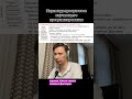 Пирамида приоритетов изучающего программирование