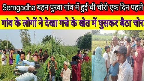 बबूल के खेत में मचान में मचा हड़कंप