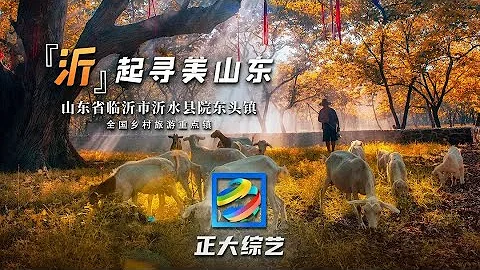 【Full】探秘“地下世界”、乘着月色捉知了猴、登临沂蒙七十二崮！体验属于山东院东头镇的林间乐趣 | CCTV「正大综艺」20220918 - 天天要闻