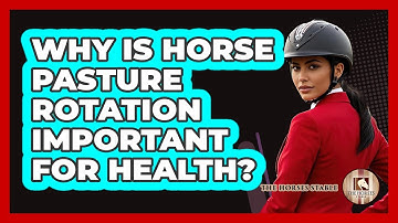 Why Is Horse Pasture Rotation Important For Health? - The Horses Stable