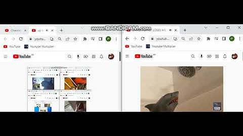 up to faster 20 to shark puppet