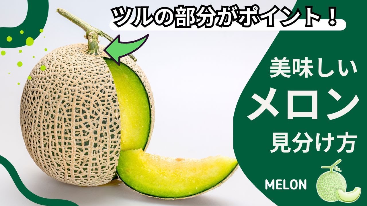 【知らないと損！】美味しいメロンはツルの部分がポイント！スーパーで使えるプロの見分け方