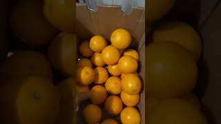 Oranges best source of vitamin C goodvibes satisfiying citrus