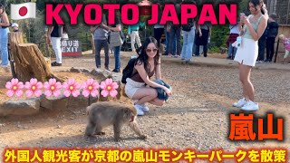 arashiyama monkey park | Kyoto | 京都モンキーパーク | 京都モンキーパーク | 嵐山 京都 日本 | 嵐山船旅 | 嵐山竹林 | 嵐山竹林 | 嵐山の食べ物