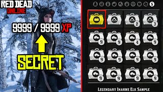 SECRET Naturalist Role Fast Leveling Guide! Red Dead Online Update DLC