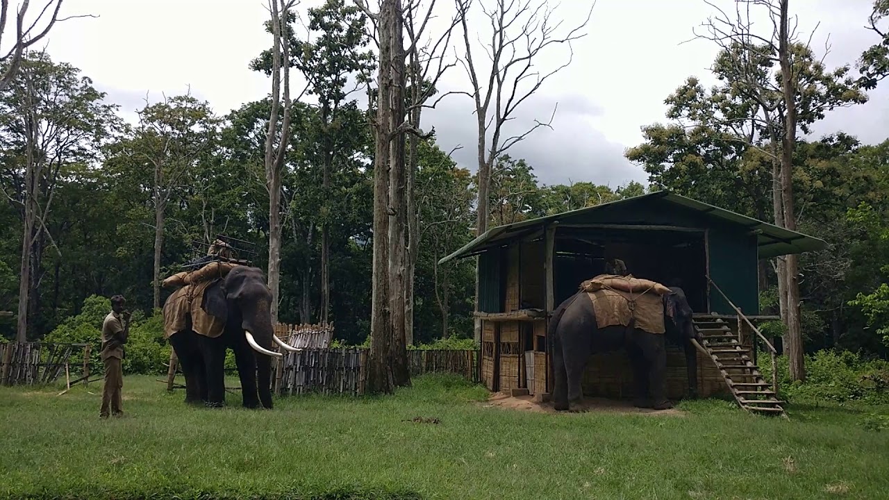 elephant safari in topslip