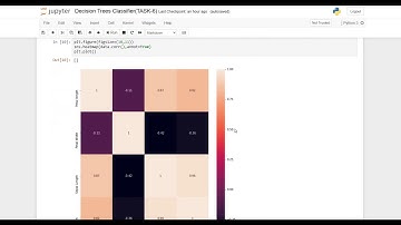 Decision Trees Classifier(TASK-6)