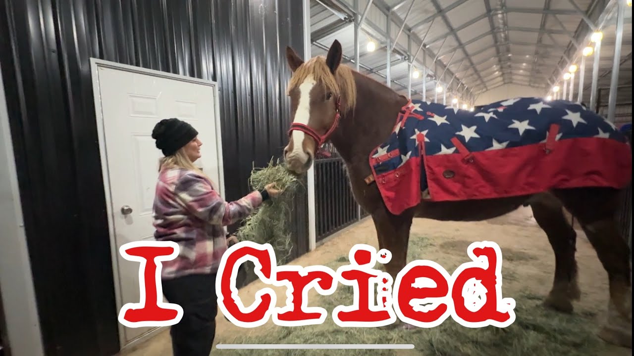 8.5 Спасённые лошади получили одеяла: впервые для всего табуна