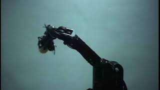 Throwing Robot