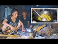 Family In The Jungle Season - 2 || Video - 47 || Natural village cooking ||