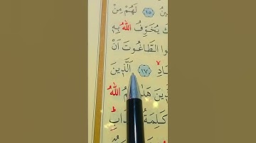 سورة الزمر الأية 16 إلى 18 القارئ سعد الغامدي