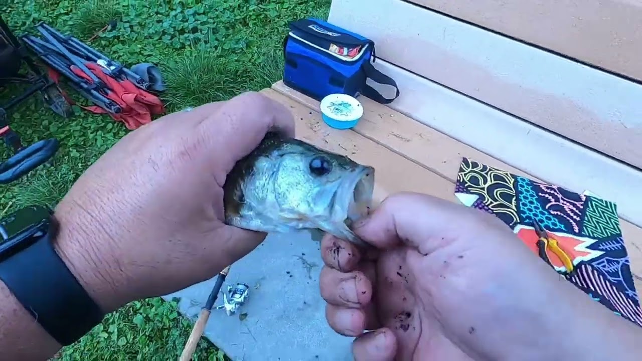 tri city bass fishing