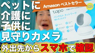 【おすすめ】ペットや子供、介護の見守りや防犯に役立つネットワークWi-Fiカメラ