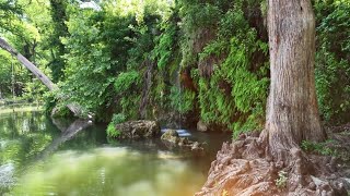 Wheres the water? Challenges for Texas watering holes