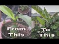 For Hardy 7 Plants Zone