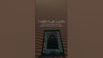 #quran ✨سورة إبراهيم |￼ طارق محمد
