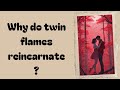 Why do twin flames reincarnate