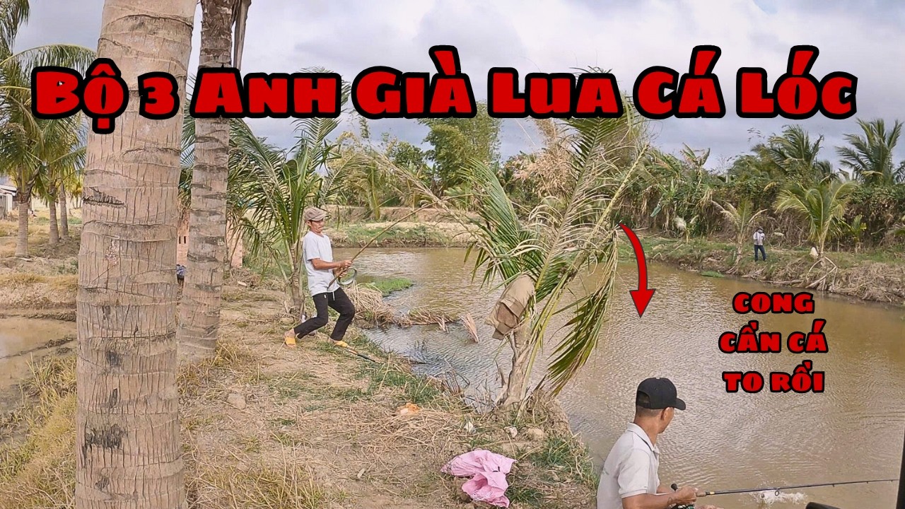 Bộ 3 Anh Già a Cá Lóc – Không Ngờ Dính Toàn Cá Khủng!