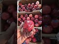 kya ha brussels belgium ma fruit ka rate ......