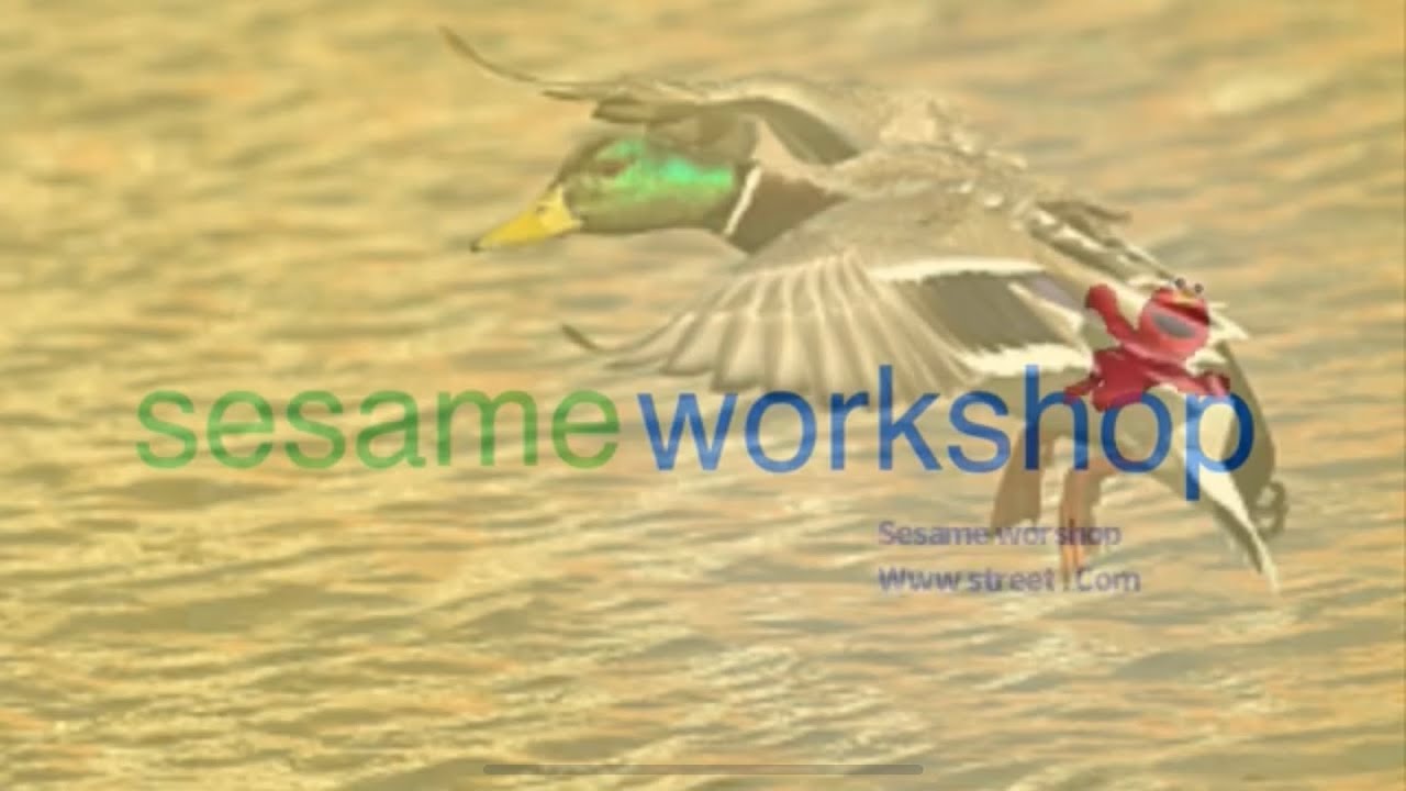 Sesame workshops 2008 logo effects
