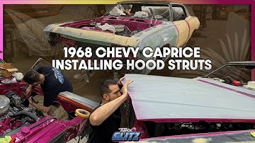 Hood Struts: A Worthwhile Upgrade?