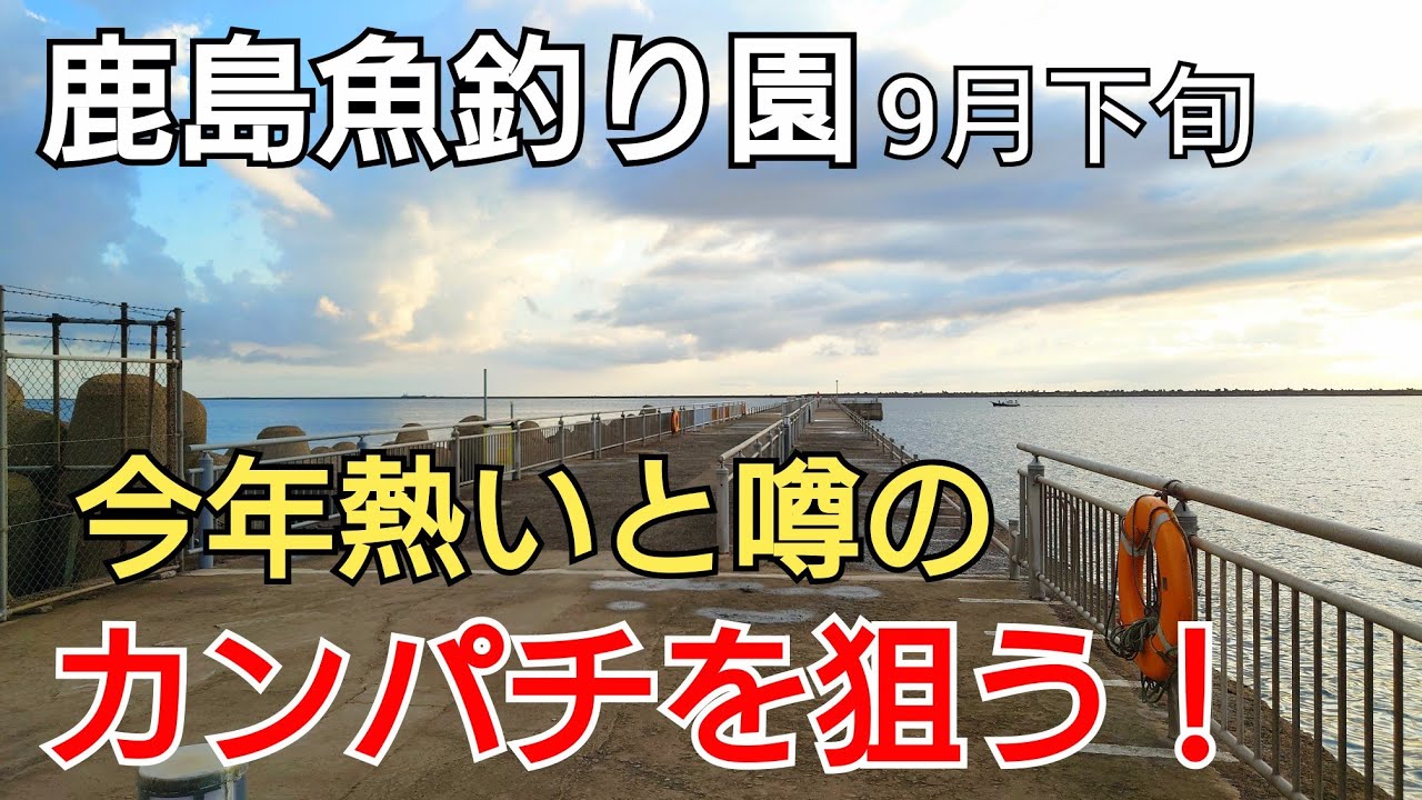 今カンパチが熱いと噂の【鹿島魚釣り園】で青物を狙う！トリックサビキで2種類の新魚種が!