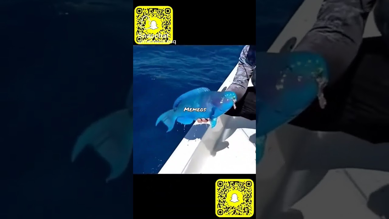 fournit-elle in real lire?