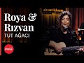 Roya & Rızvan - Tut Ağacı / Akustikhane #hissethezzal