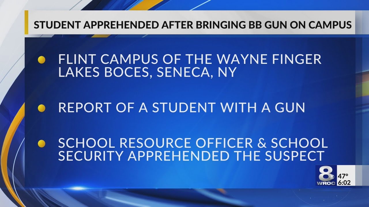 Student detained after bringing BB gun to school in Ontario County ...