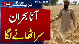 Wheat crackdown pushes prices down in Karachi  | Samaa TV