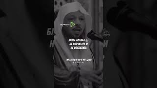 #напоминание #верующим #пророкмухаммадﷺ