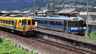 〔列車交換〕佃駅（JR四国　土讃線）※台風の影響で通常の運行ではありません。