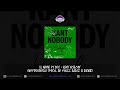Lil Wayne Kant Nobody Instrumental Prod By Swizz Beatz Avenue 