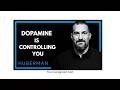 How Dopamine & Serotonin Shape Decisions, Motivation & Happiness | Neuroscience Explained