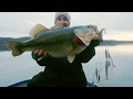 Bass Fishing Tips And Videos