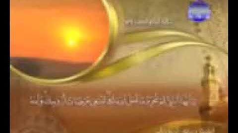 الشيخ حسام عادل /سورة التحريم