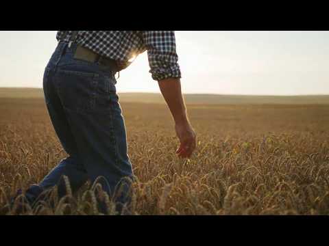 Earn Income After Crop Harvest | Leasing Farms for Hunting