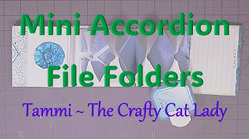 Mini Accordion File Folders