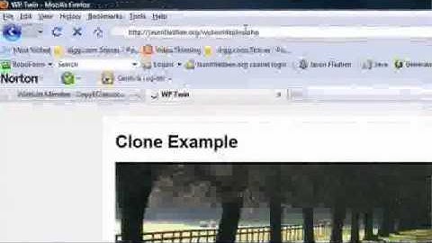 WP Twin in Action - How to Copy Complex Blogs and Membership Sites