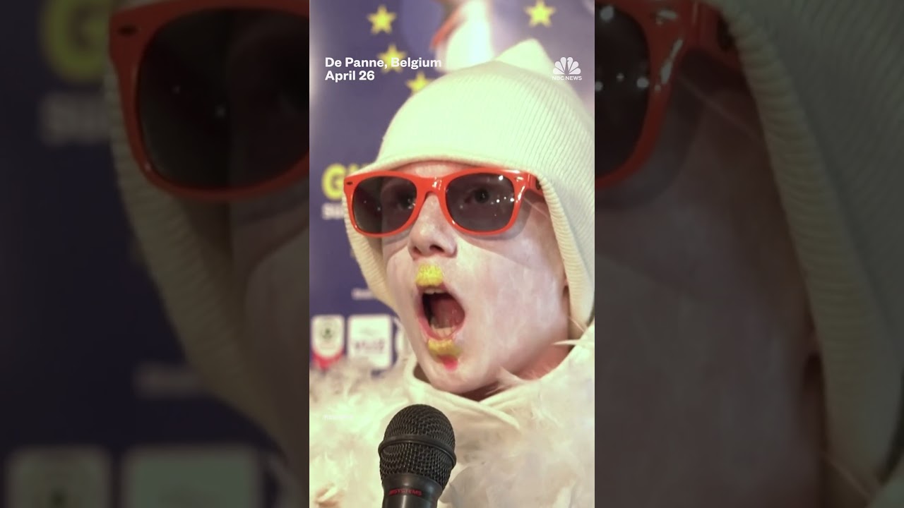 Seagull imitators compete for best screech