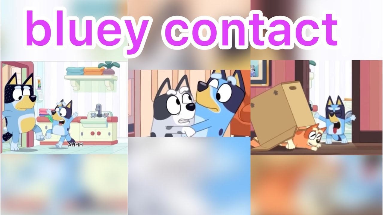 bluey contact part one - YouTube