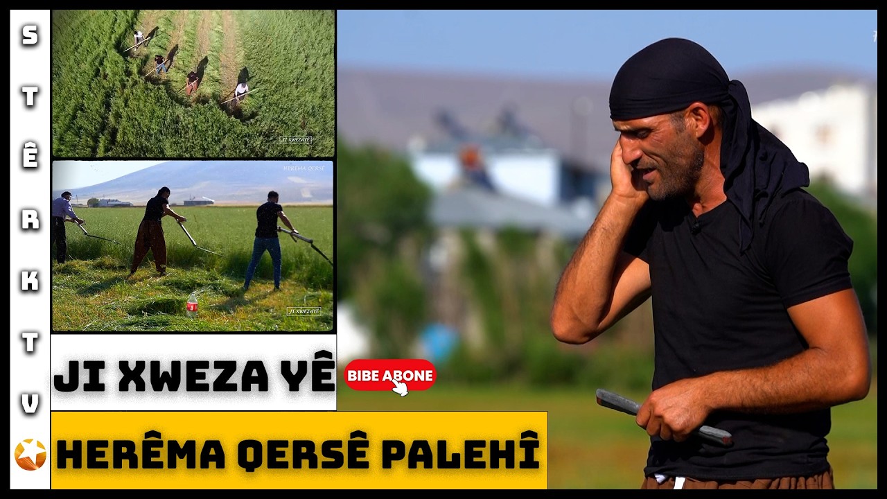 Ji Xwezayê - Herêma Qersê Palehî