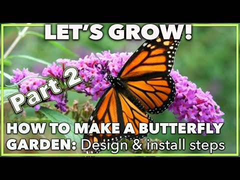 Video: Zone 5 Butterfly Garden Plants - Tanaman yang Cocok Untuk Kupu-Kupu Di Zona 5