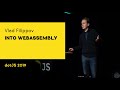 Into WebAssembly talk, by Vlad Filippov