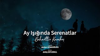 Ay Işığında Serenatlar | Bahaettin Karakoç Resimi