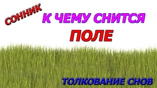 Сонник к чему снится поле толкование