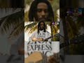 Zion Express Music Reggae Vibes