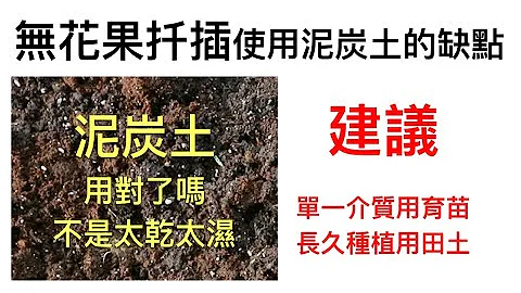 无花果扦插使用泥炭土的缺点l不建议使用单一介质如：泥炭土、水草、椰纤、赤玉土作为长久栽培介质，最好的方式是等开根稳定后，即用富有有机质的田土种植 - 天天要闻