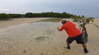 Menombak ikan terjebak waktu air pasang surut siang di pulau langsung masak pinggir pantai